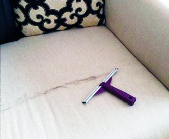 cleaning animal fur